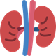 Cardiology Icon