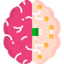 Cardiology Icon