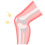 Cardiology Icon